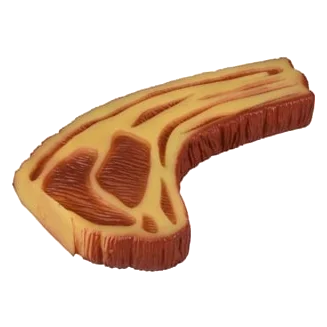 Gioco per cani bistecca gigante in vinile, 22 x 13 x 3 cm