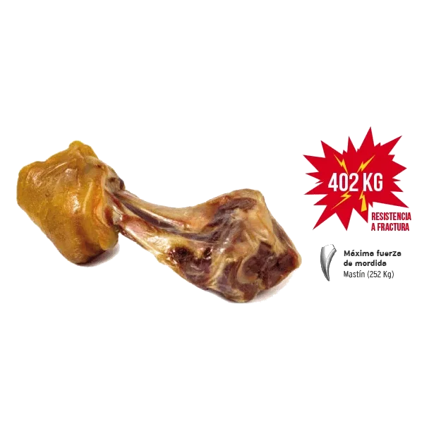 Stinco di prosciutto serrano per cani Mediterranean, 550 g
