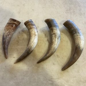Corna di manzo da masticare per cani, taglia grande