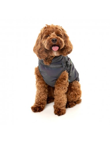 Giacca riflettente con pettorina per cani FuzzYard Flash