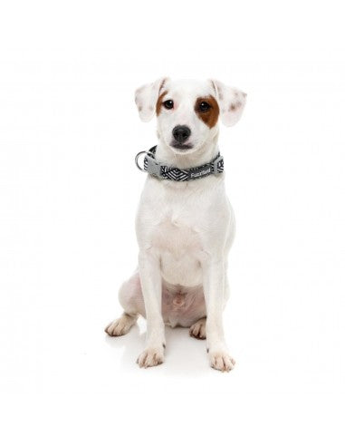 Collare in neoprene per cani FuzzYard Fitzroy (taglia M)