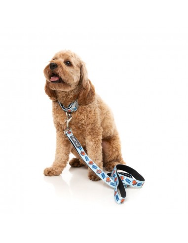 Guinzaglio in neoprene per cani FuzzYard Ahoy There! (taglia L)