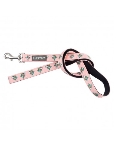 Guinzaglio in neoprene per cani FuzzYard LL Cool Jaw$ (taglia L)