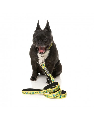 Guinzaglio in neoprene per cani FuzzYard Sk8ter Gator (taglia L)