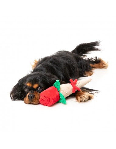 Peluche per cani FuzzYard Love Wrapped Rose