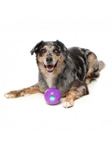 Palla porta snack per cani FuzzYard Truth Tellin' Ball