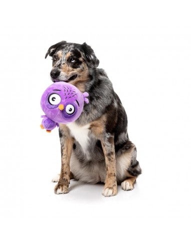Peluche per cani FuzzYard Noggins Hoo Dini con squeaker