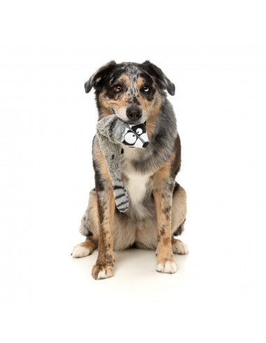 Peluche per cani con suono FuzzYard The Yeetz Run Along Racoon