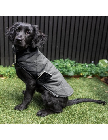 Gilet imbottito per cani FuzzYard Life Slate Grey