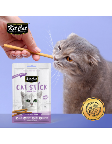 Snack per gatti Kit Cat Cat Stick salmone e tonno 15 g