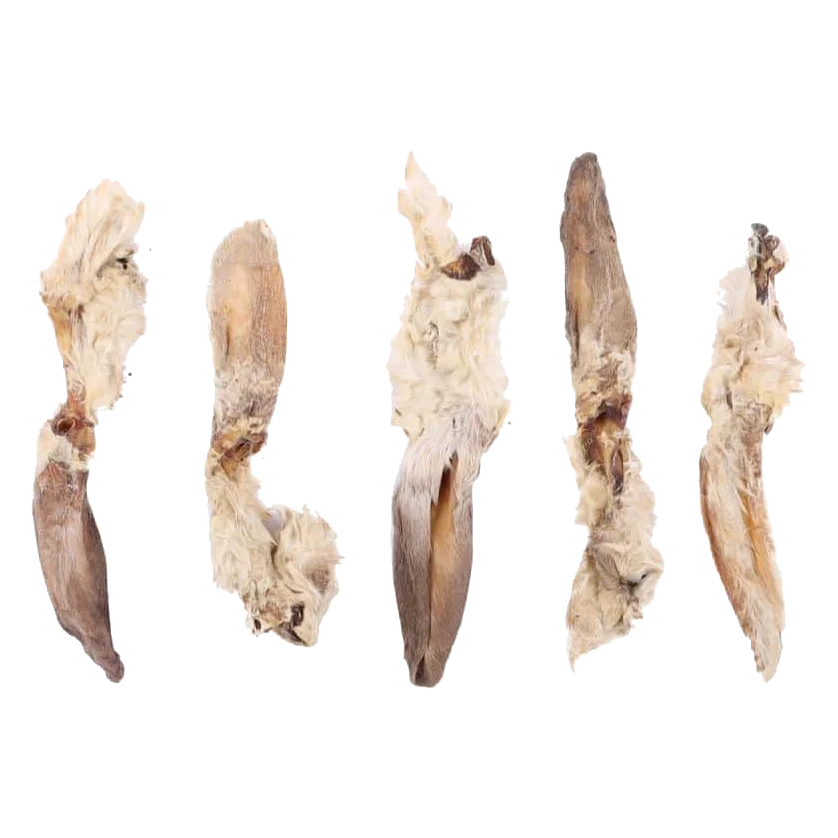 Snack naturali per cani orecchie di coniglio con pelo, busta da 5 pezzi