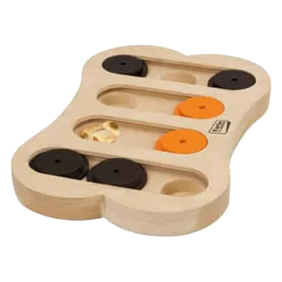 Gioco interattivo cane Brain Train Apollo, 30 × 20 cm