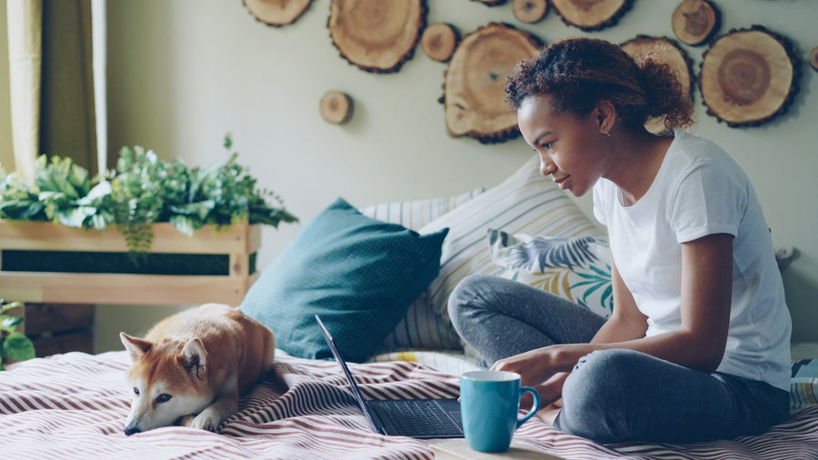 Mujer con el portátil y su perro en casa