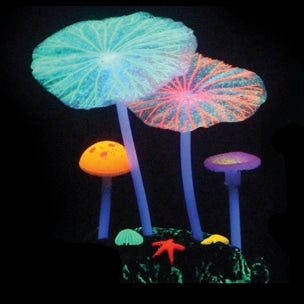 Fungo multicolore Aqua Lumo decorazione acquario