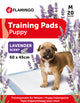 Traversine educative per cani T2 profumo lavanda