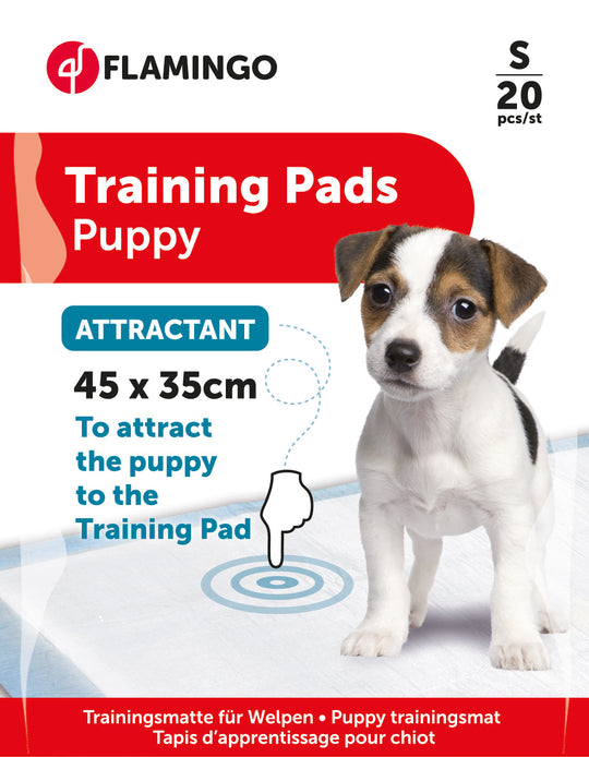 Traversine per cani con attrattivo, taglia 1