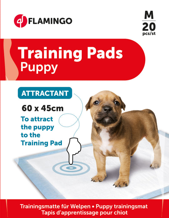 Traversine per cani con attrattivo, taglia 2