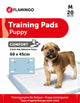 Traversine per cani Comfort con strisce adesive antiscivolo, taglia 2