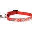 Collare per gattini Nanou, 15–22 cm, 10 mm, assortiti – immagine 2