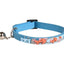 Collare per gattini Nanou, 15–22 cm, 10 mm, assortiti – immagine 3