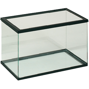 Acquario in vetro nero