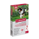 Pipette antiparassitarie per cani Advantix 10–25 kg, 4 pipette