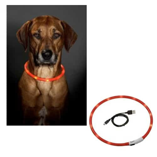 Collare LED per cani, arancione