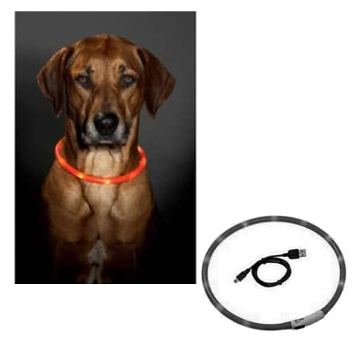 Collare LED per cani, nero