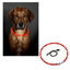 Collare LED per cani, rosso