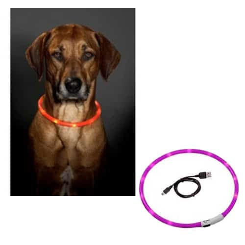 Collare LED per cani, rosa