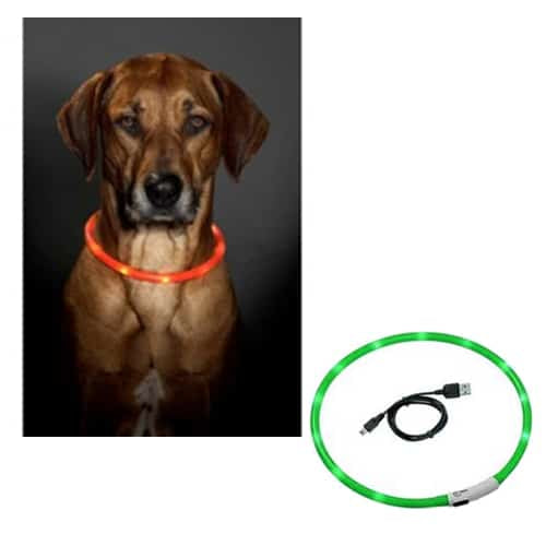 Collare LED per cani, verde