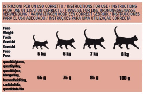 Crocchette per gatti Schesir Animal Protein Sterilizzato prosciutto, 10 kg – immagine 2