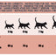 Crocchette per gatti Schesir Animal Protein Sterilizzato pesce, 10 kg – immagine 2