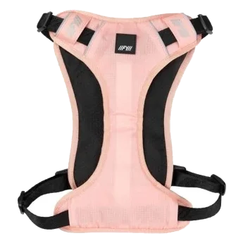 Pettorina imbottita per cani FuzzYard FY Active Go pesca