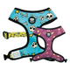 Pettorina reversibile Dukier Calaveras, blu e viola, taglie da T1 a T4