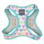 Pettorina step-in per cani FuzzYard Candy Hearts traspirante