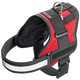 Pettorina per cani Xtreme Teflon rossa