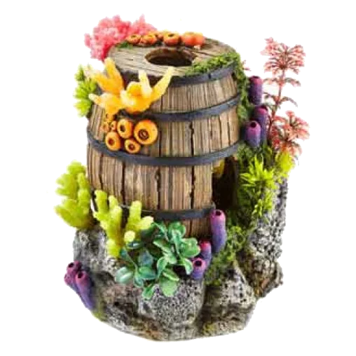 Barile con piante e corallo decorazione acquario
