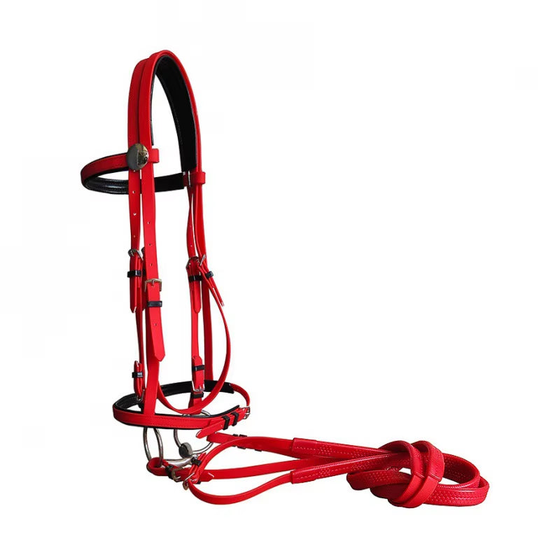 Briglia in PVC con redini regolabili per cavallo – vista 9