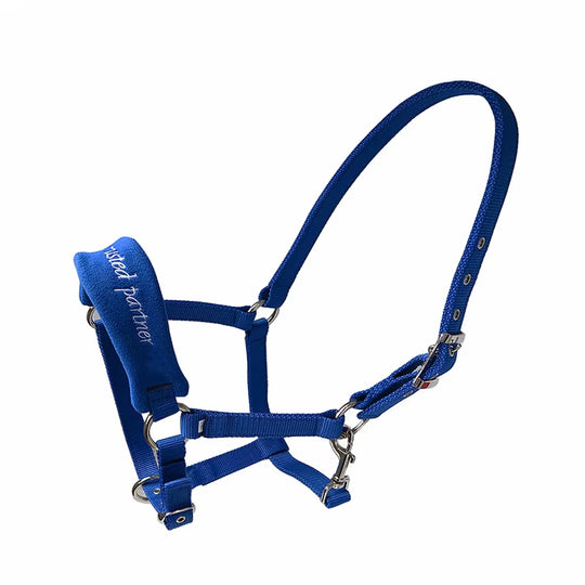 Cabezada acolchada ajustable para caballo, tallas XS a XL