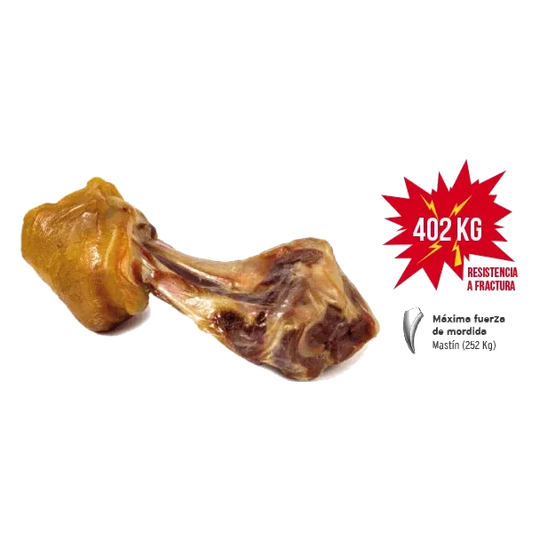 Stinco di prosciutto serrano per cani Mediterranean, 550 g
