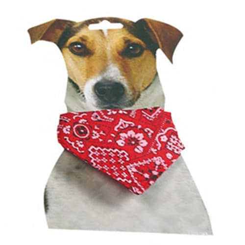 Collare con bandana rosso per cani, taglia 1, 22–35 cm