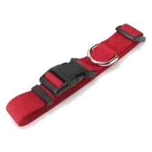 Collare per cani in nylon 15 mm, taglie T1, T2 e T3