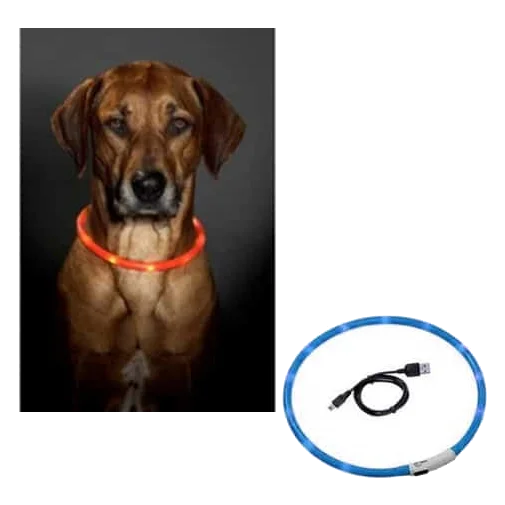 Collare luminoso LED ricaricabile USB, taglia unica, 70 cm