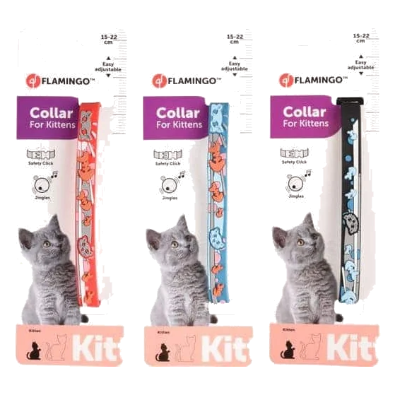 Collare per gattini Nanou, 15–22 cm, 10 mm, assortiti