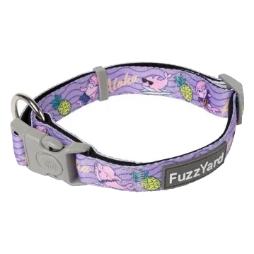 Collare per cani FuzzYard Aloha Dolphins in neoprene