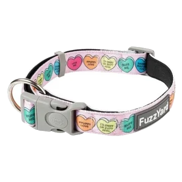 Collare per cani in neoprene FuzzYard Candy Hearts