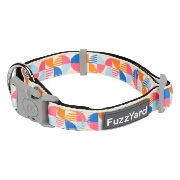 Collare per cani in neoprene imbottito FuzzYard Fresh Zest