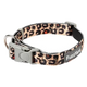 Collare per cani in neoprene FuzzYard Javan