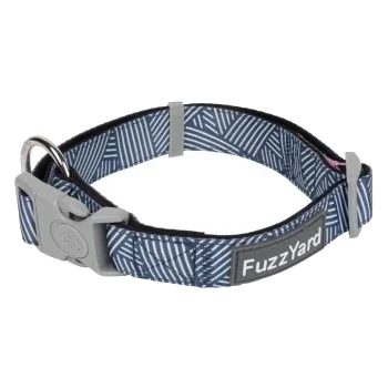 Collare per cani in neoprene imbottito FuzzYard Thornbury Aegean Blue